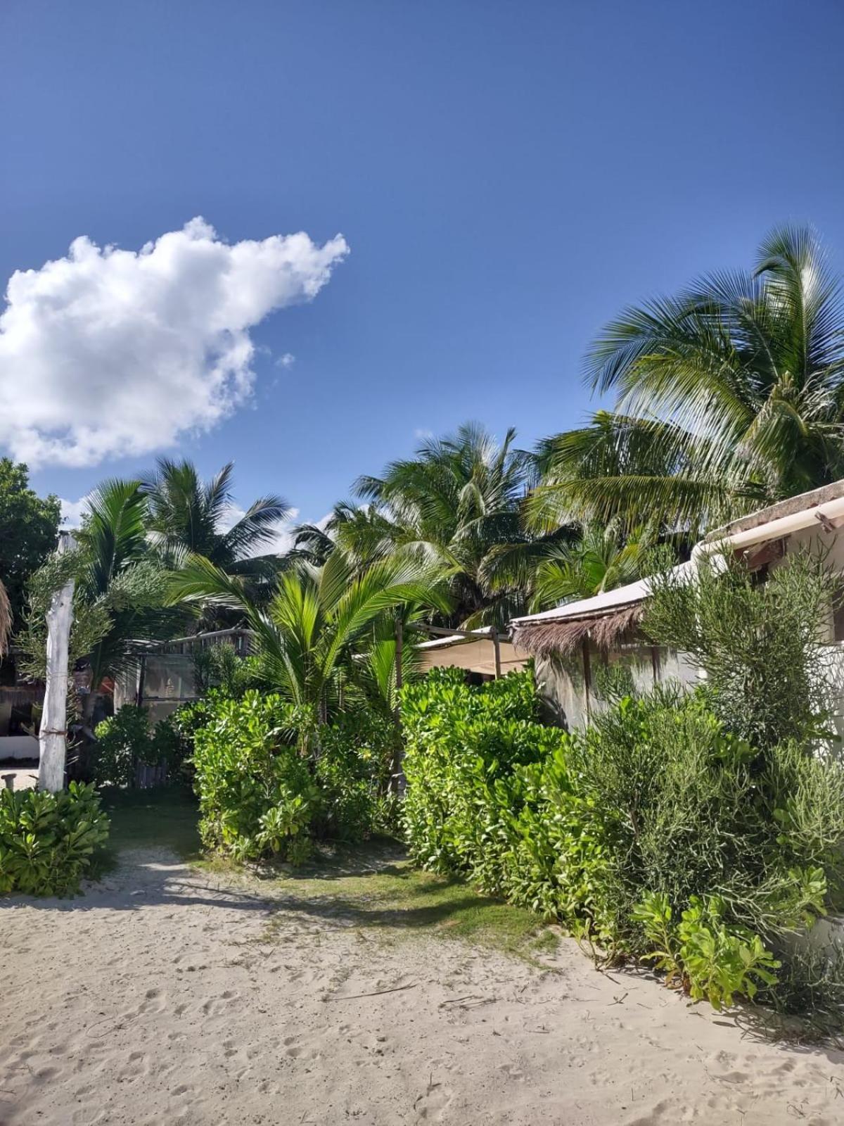 Lunazul Eco-Cabana Frente Al Mar Mahahual Exterior foto